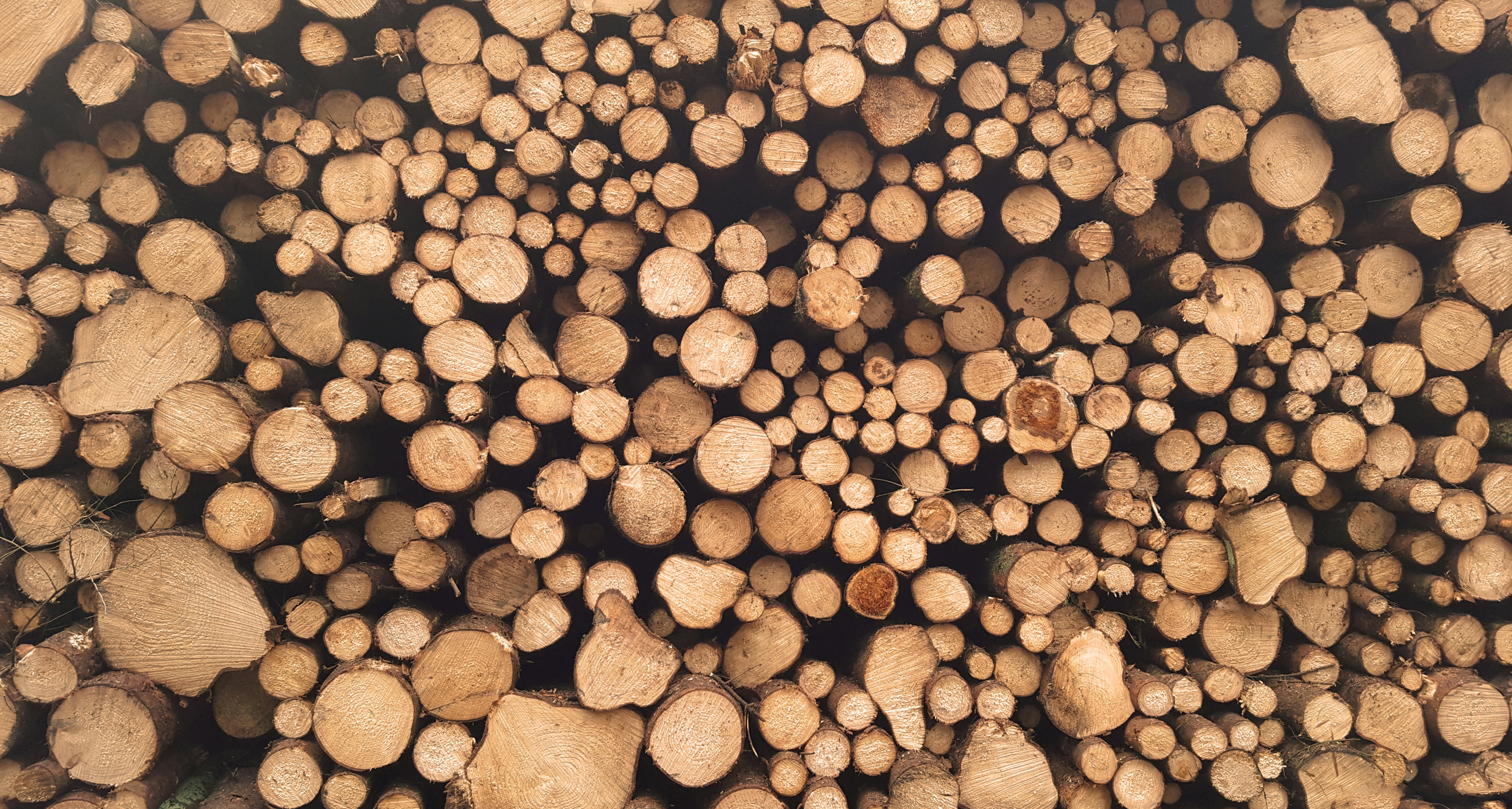 Foto von einem großen Holzstapel